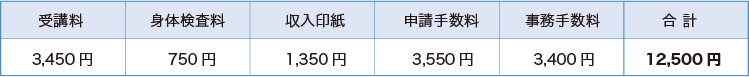teisei1