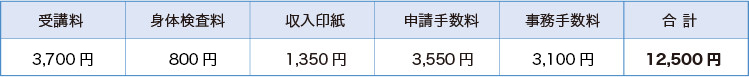 teisei1